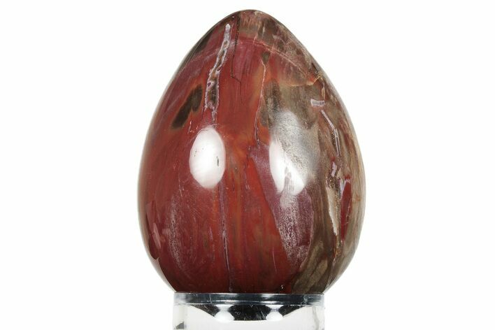 Colorful, Polished Petrified Wood Egg - Madagascar #245362